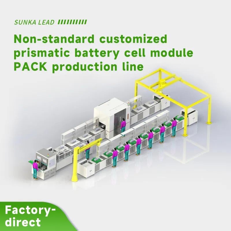 Non-standard customized prismatic battery cell module PACK p